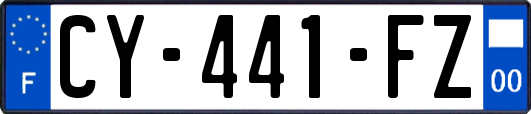 CY-441-FZ