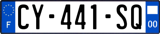 CY-441-SQ