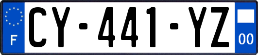 CY-441-YZ