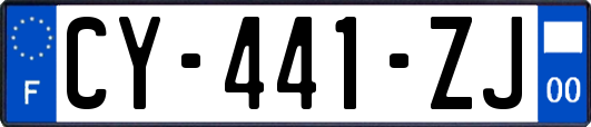 CY-441-ZJ