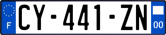 CY-441-ZN