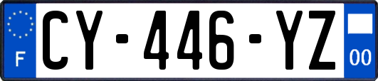 CY-446-YZ
