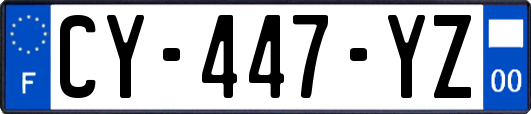 CY-447-YZ