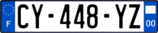 CY-448-YZ