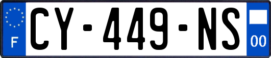 CY-449-NS