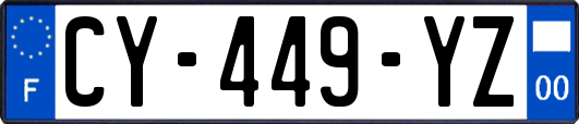 CY-449-YZ