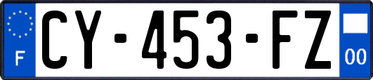 CY-453-FZ