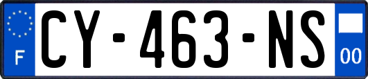 CY-463-NS