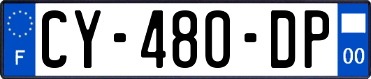 CY-480-DP