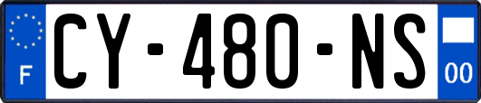 CY-480-NS