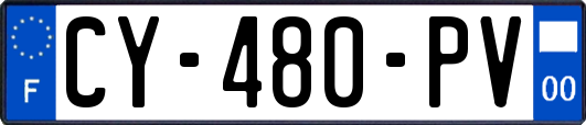 CY-480-PV