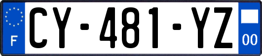 CY-481-YZ