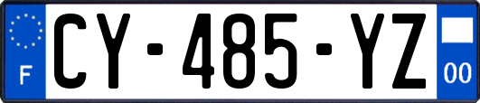 CY-485-YZ