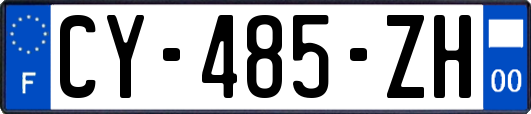CY-485-ZH