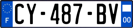 CY-487-BV