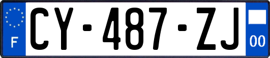 CY-487-ZJ