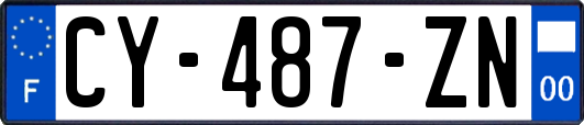 CY-487-ZN