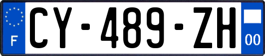 CY-489-ZH