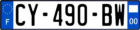 CY-490-BW