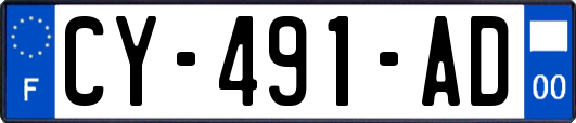 CY-491-AD