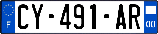 CY-491-AR