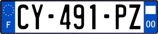 CY-491-PZ