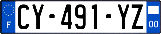 CY-491-YZ