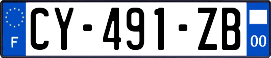 CY-491-ZB