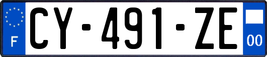 CY-491-ZE