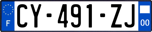 CY-491-ZJ