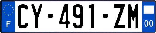 CY-491-ZM