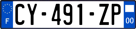 CY-491-ZP