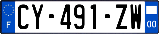 CY-491-ZW