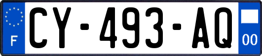 CY-493-AQ