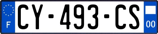 CY-493-CS