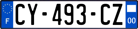 CY-493-CZ