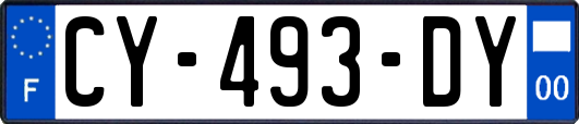 CY-493-DY