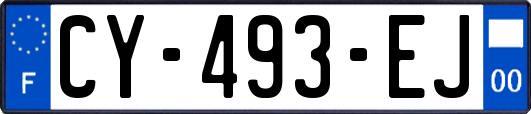 CY-493-EJ