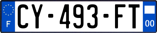 CY-493-FT