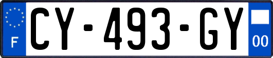 CY-493-GY