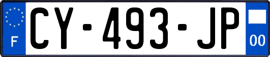 CY-493-JP