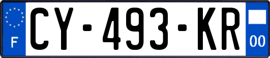 CY-493-KR