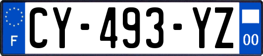 CY-493-YZ
