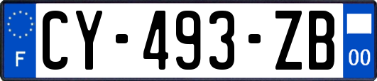 CY-493-ZB