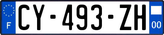 CY-493-ZH