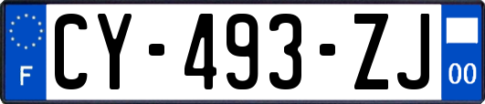 CY-493-ZJ