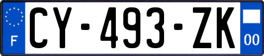 CY-493-ZK