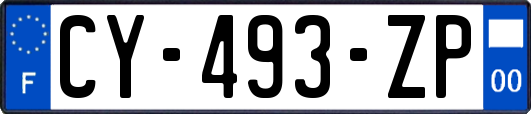 CY-493-ZP