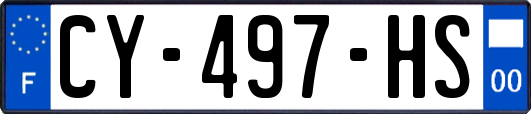 CY-497-HS