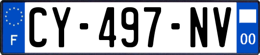 CY-497-NV